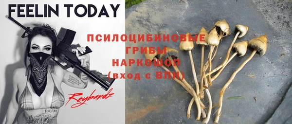круглые Аркадак